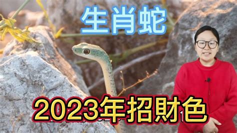 屬蛇幸運顏色2023|十二生肖「幸運數字、幸運顏色、大吉方位」！跟著做。